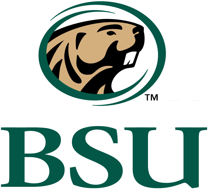 Bemidji State Beavers 2004-Pres Secondary Logo vinyl decal